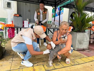 UESVALLE superó la meta y vacunó gratuitamente a más de 7.000 perros y gatos en el marco del Día Mundial de la Lucha Contra la Rabia