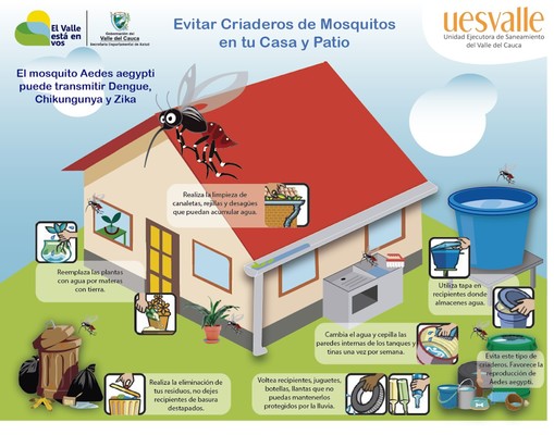 Con adecuadas prácticas evitaremos criaderos de mosquitos en los hogares