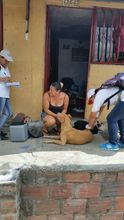 UESVALLE finalizó con éxito la semana de conmemoración de lucha contra la rabia de perros y gatos en municipios categoría 4ª, 5ª y 6ª