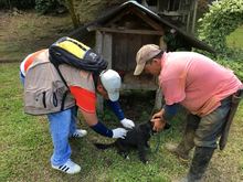 La UESVALLE inició jornadas de vacunación antirrábica canina y felina en las zonas urbanas y rurales del departamento