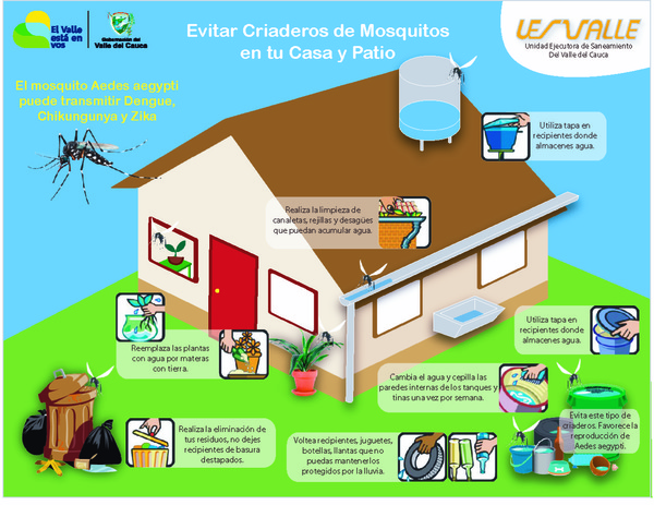 abajo fragmento Nueve La UES VALLE brinda recomendaciones para prevenir y controlar los criaderos  del mosquito transmisor del dengue, zika y chikungunya