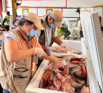 Decomiso de pescado y productos cárnicos deja el balance de operativos de control durante la semana santa