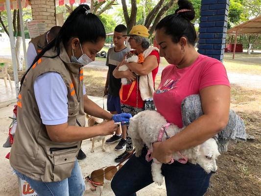 Acompañamos la  primera brigada de bienestar animal en el municipio de Roldanillo
