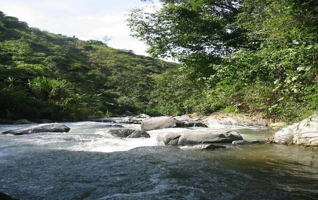 Avanza el cumplimiento de acuerdos para la restauración y protección de cuencas prioritarias en el Valle del Cauca