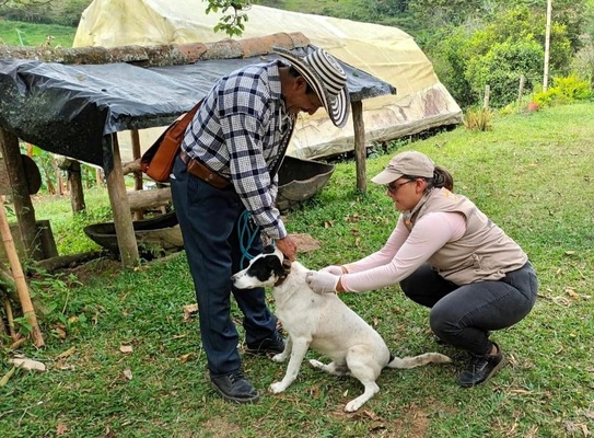 Más de 165 mil perros y gatos recibirán vacunación gratuita contra el virus de la rabia