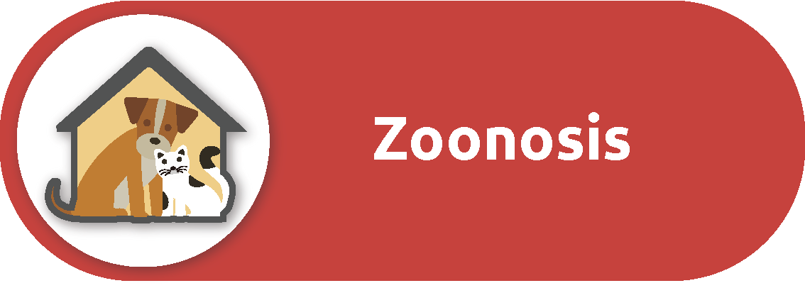Icono del proceso de zoonosis